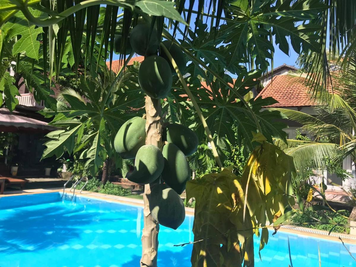 Hotel Gecko House Phú Quý Zewnętrze zdjęcie